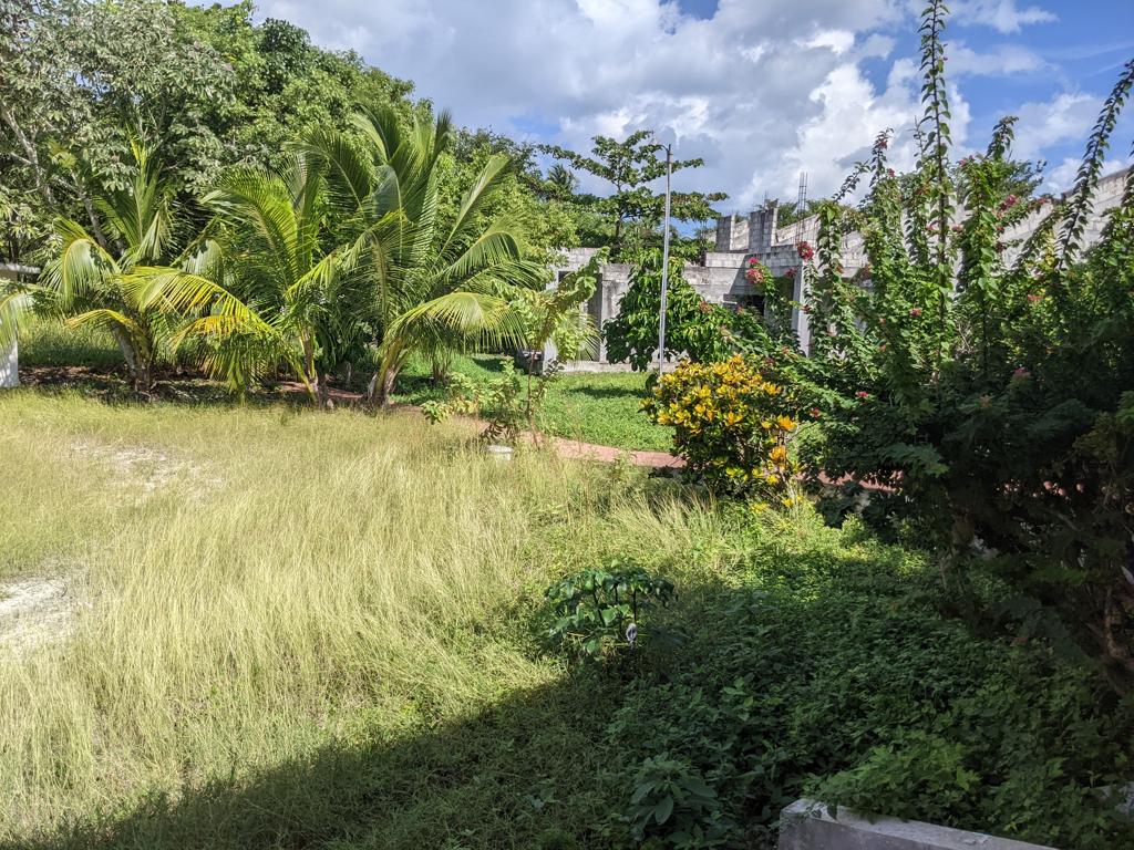 listing image with ID 2318