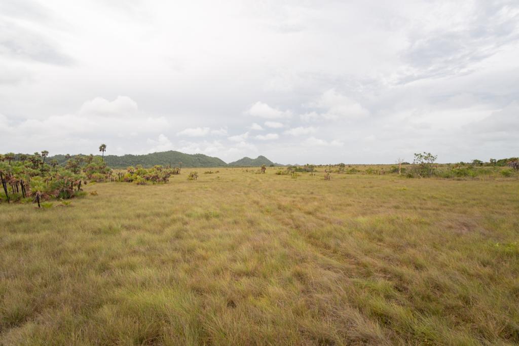 listing image with ID 2680