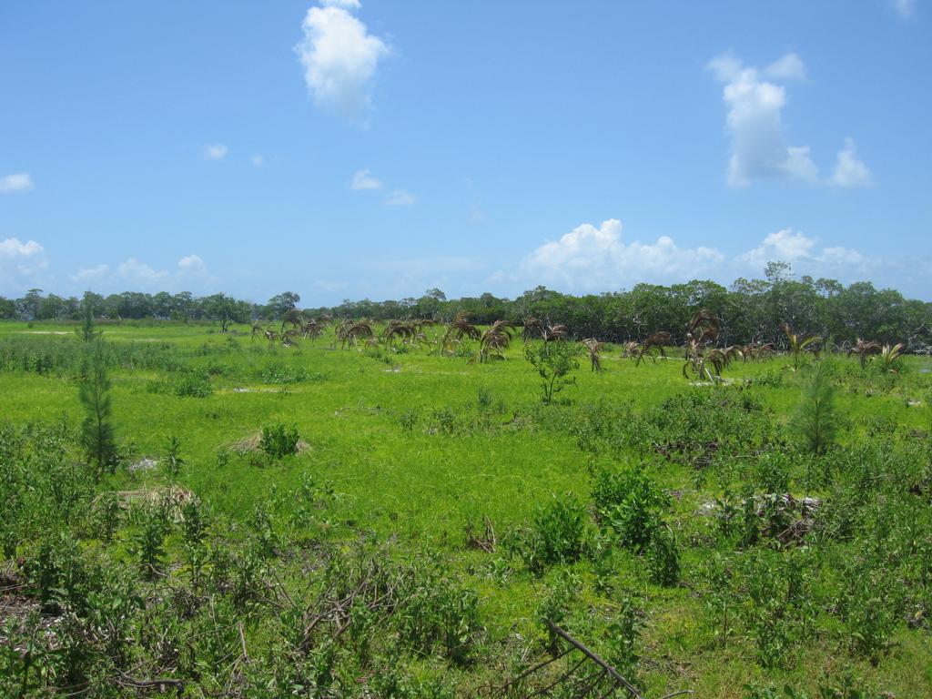 listing image with ID 2563