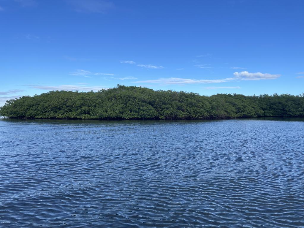 listing image with ID 5052