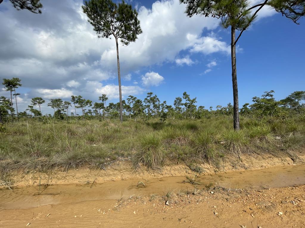 listing image with ID 5072