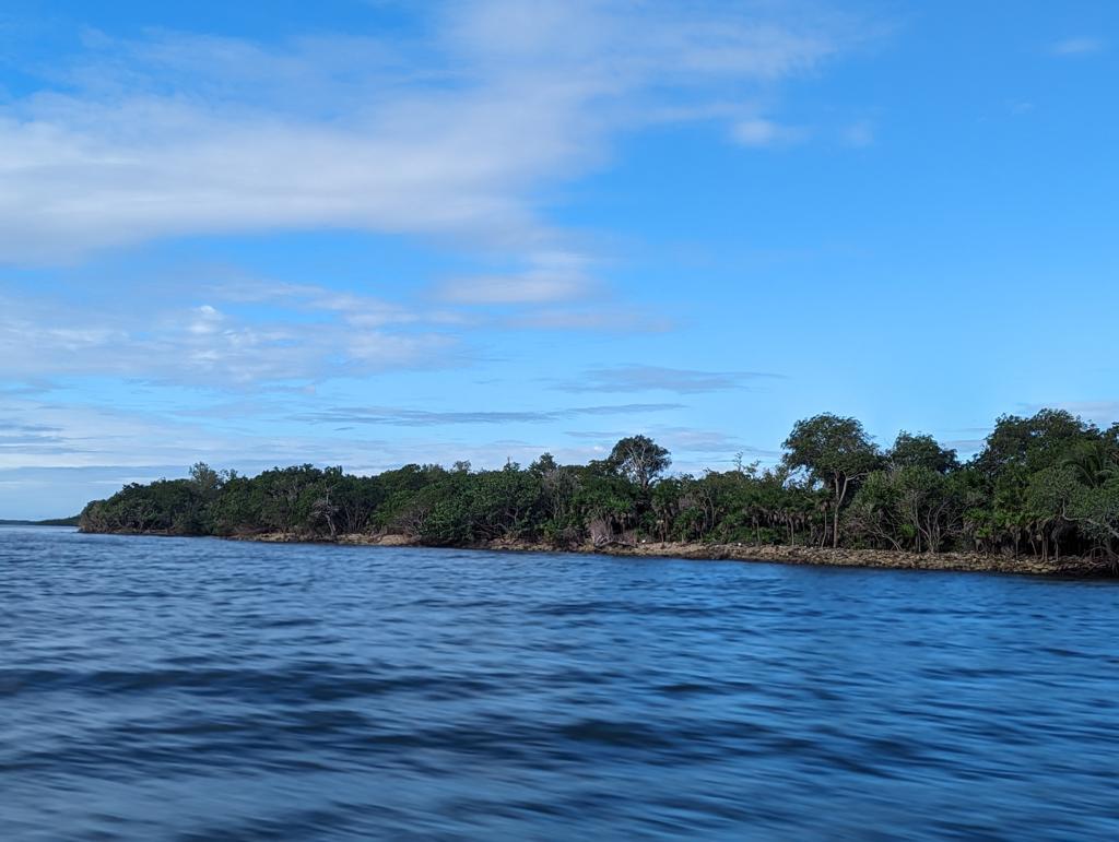 listing image with ID 5061