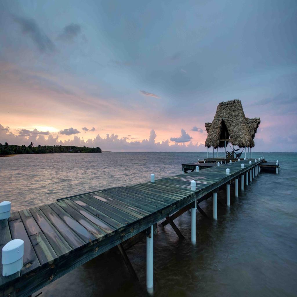 listing image with ID 1303