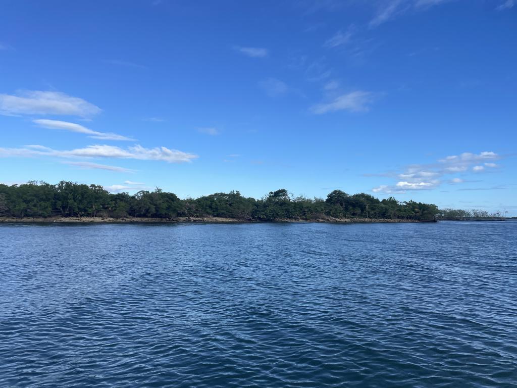 listing image with ID 5055