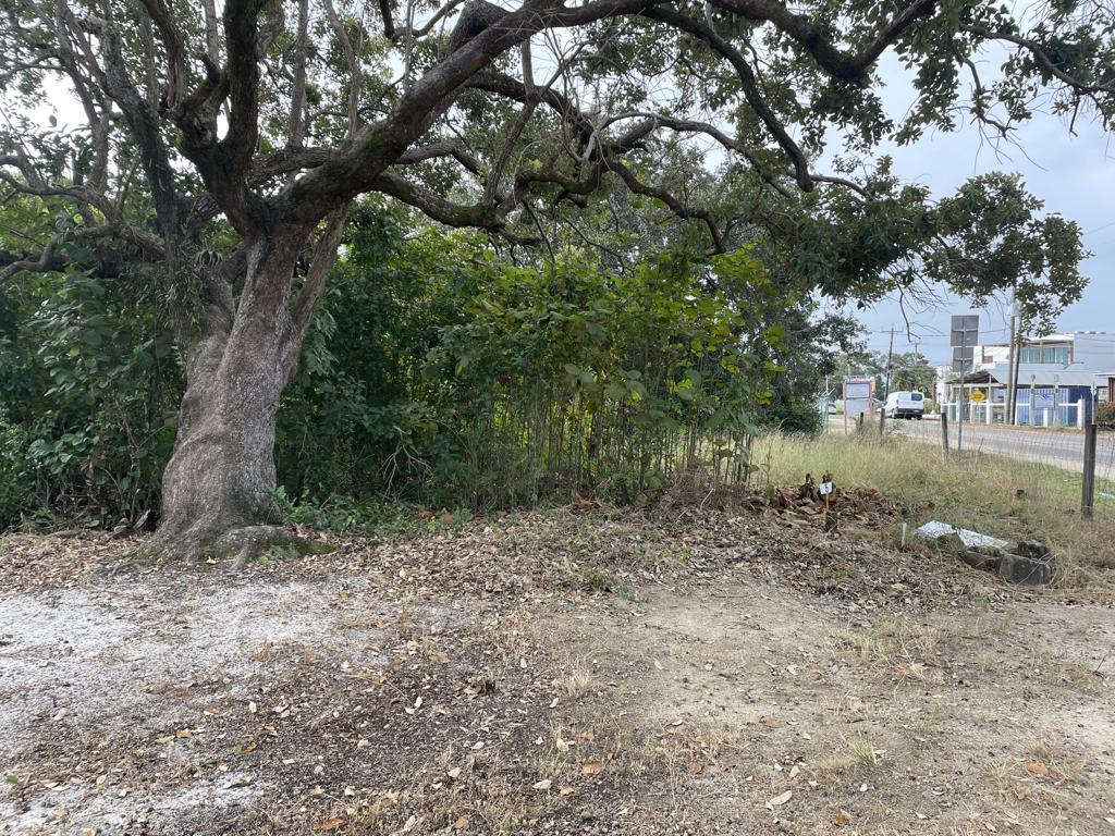 listing image with ID 5843