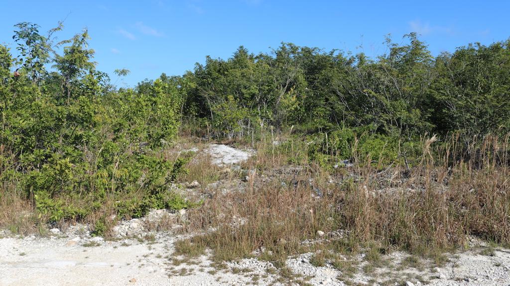 listing image with ID 1379