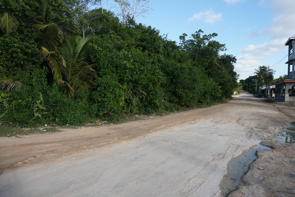 listing image with ID 2338