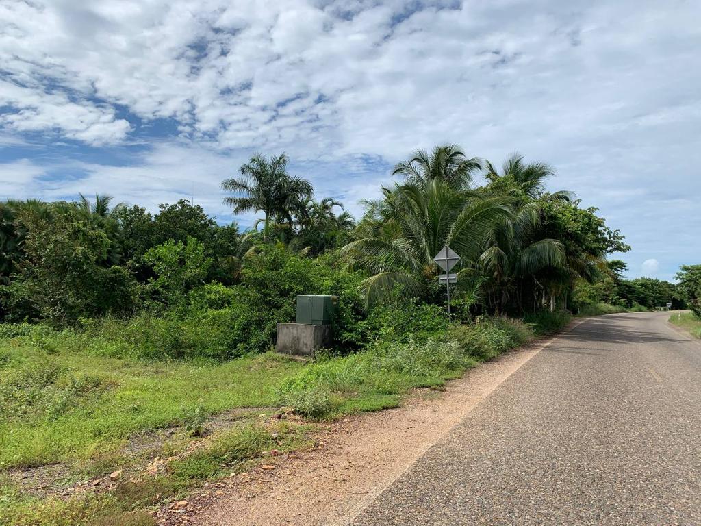 listing image with ID 4360