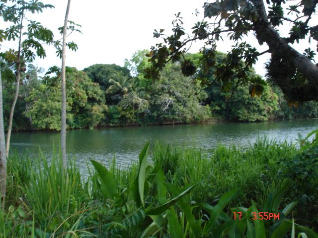 listing image with ID 6544