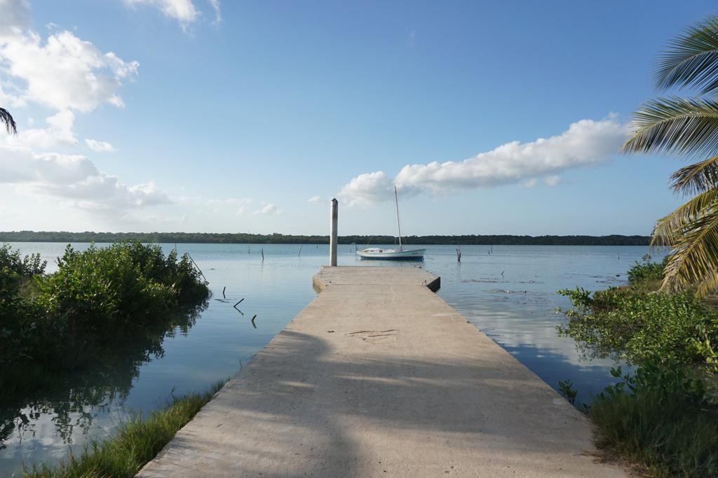 listing image with ID 2329