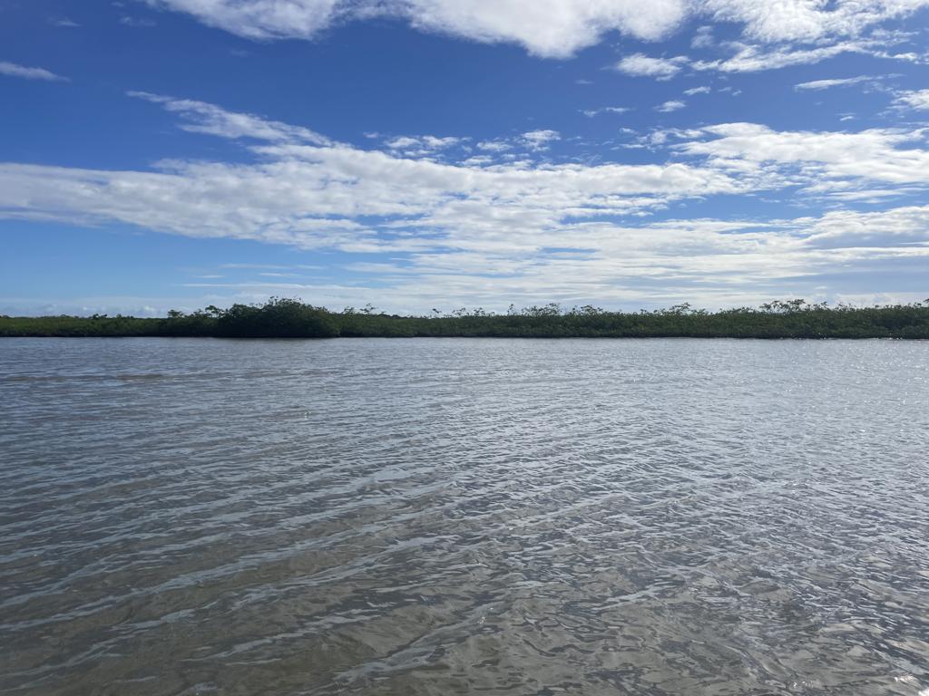 listing image with ID 5068