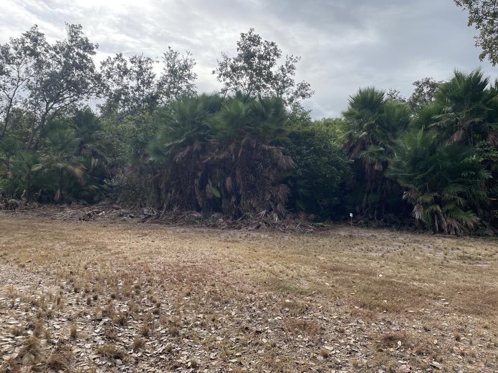 listing image with ID 5845