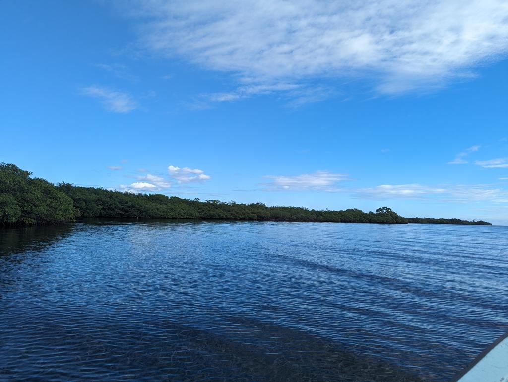 listing image with ID 5057