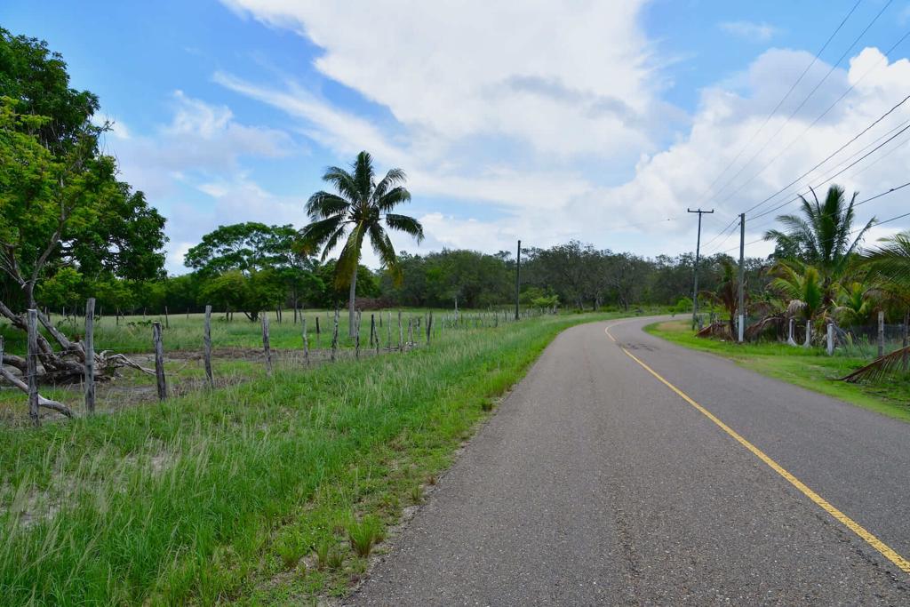 listing image with ID 25561