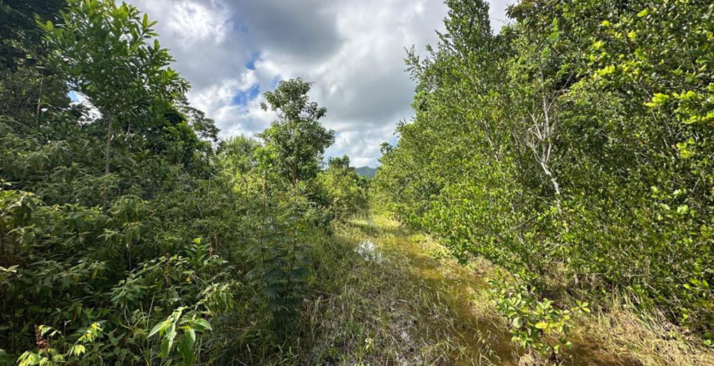 listing image with ID 17296
