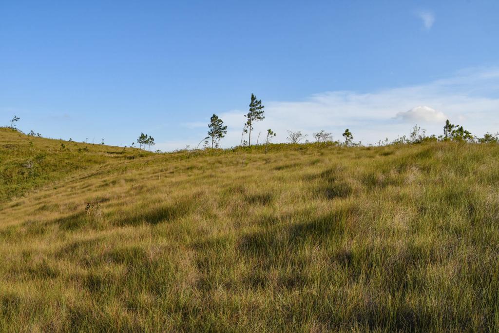 listing image with ID 22731