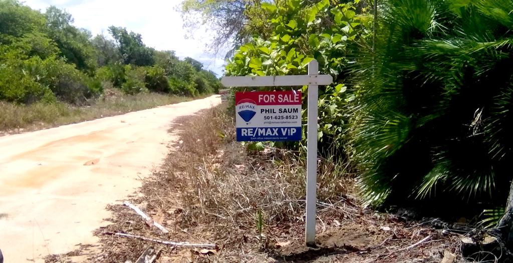listing image with ID 17341