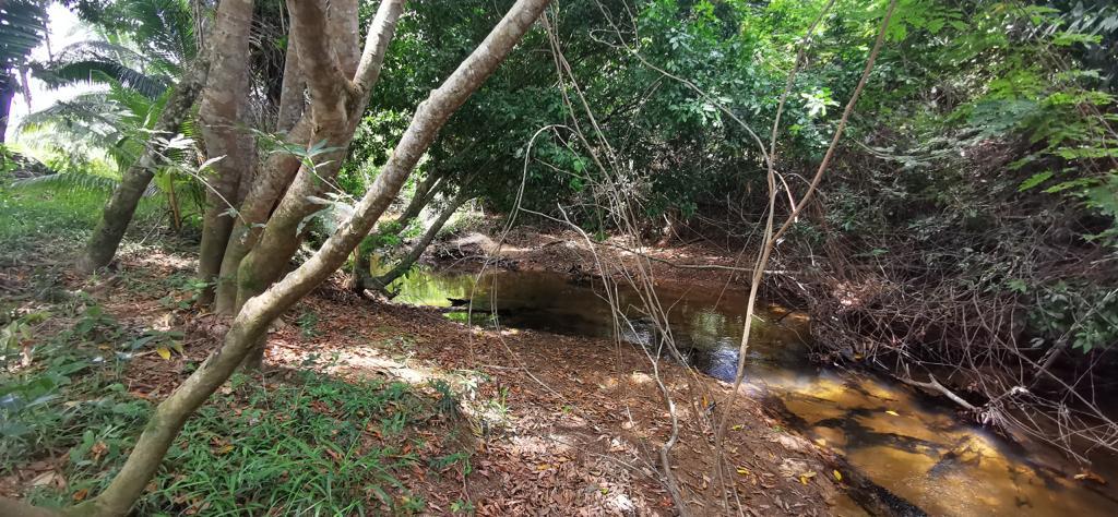 listing image with ID 16792