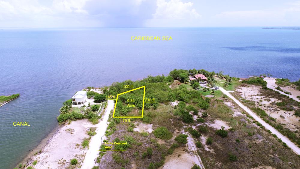 listing image with ID 22210