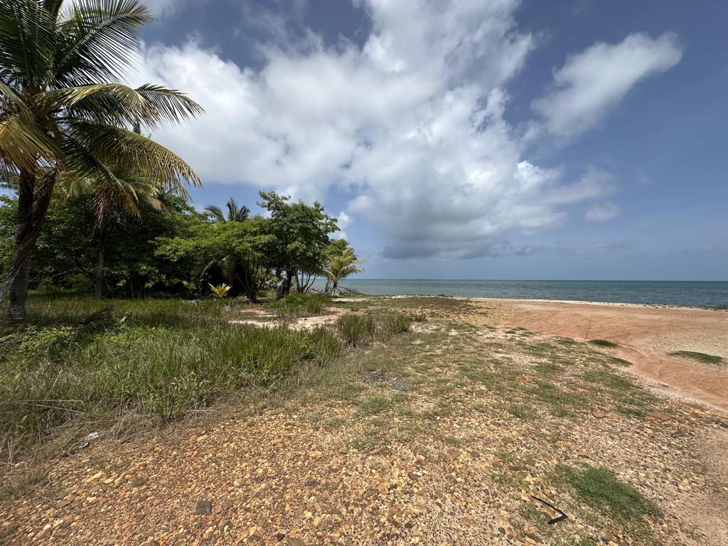 listing image with ID 7658
