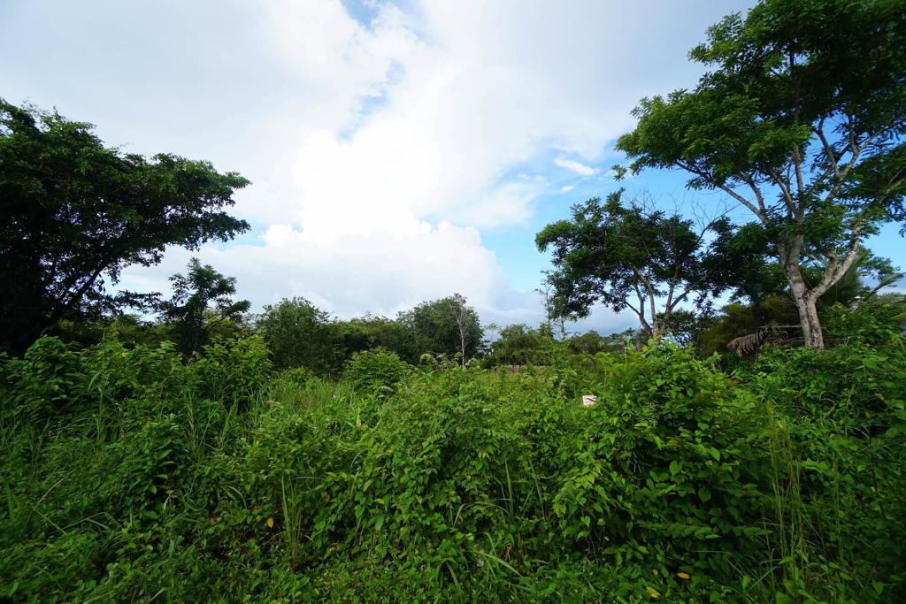 listing image with ID 23810