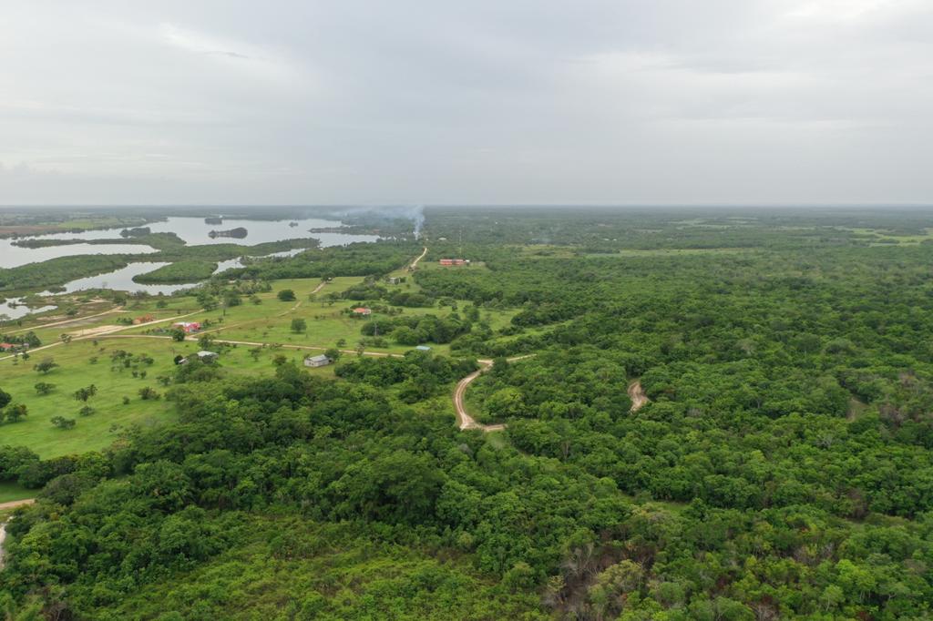 listing image with ID 16813