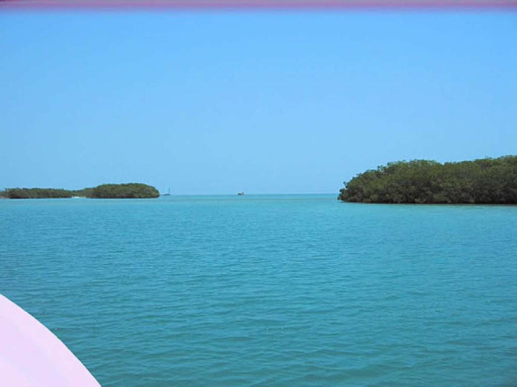listing image with ID 16604