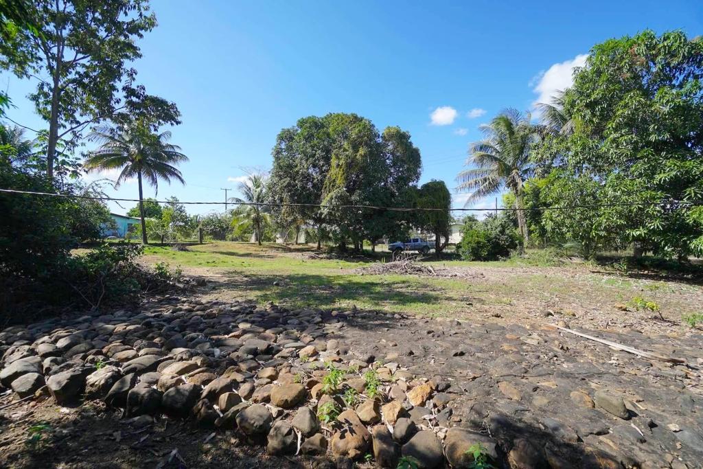 listing image with ID 19843
