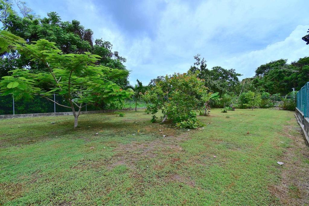 listing image with ID 25490