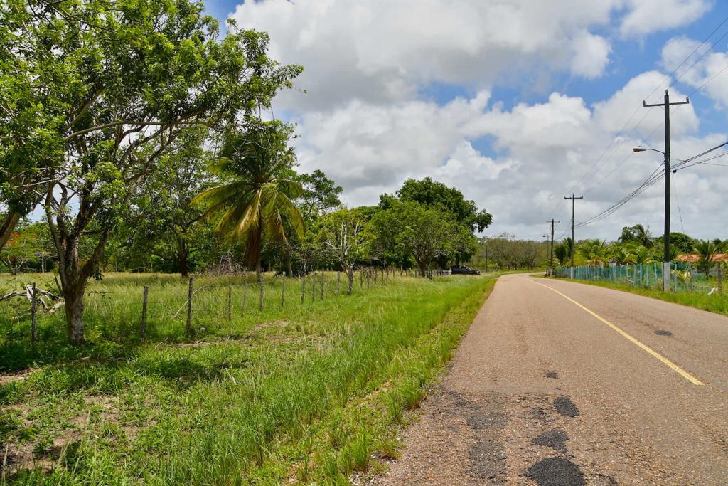 listing image with ID 25567