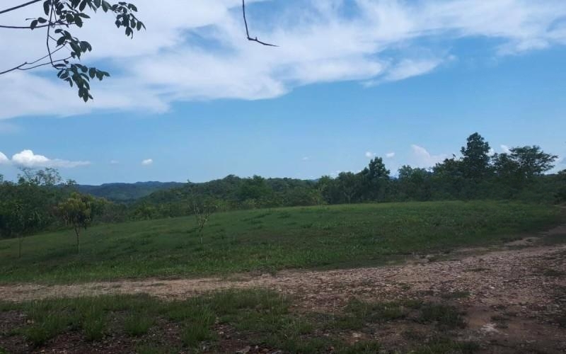 listing image with ID 11969