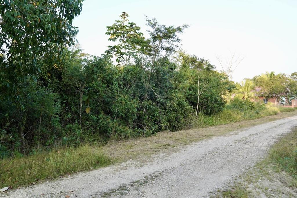 listing image with ID 19952