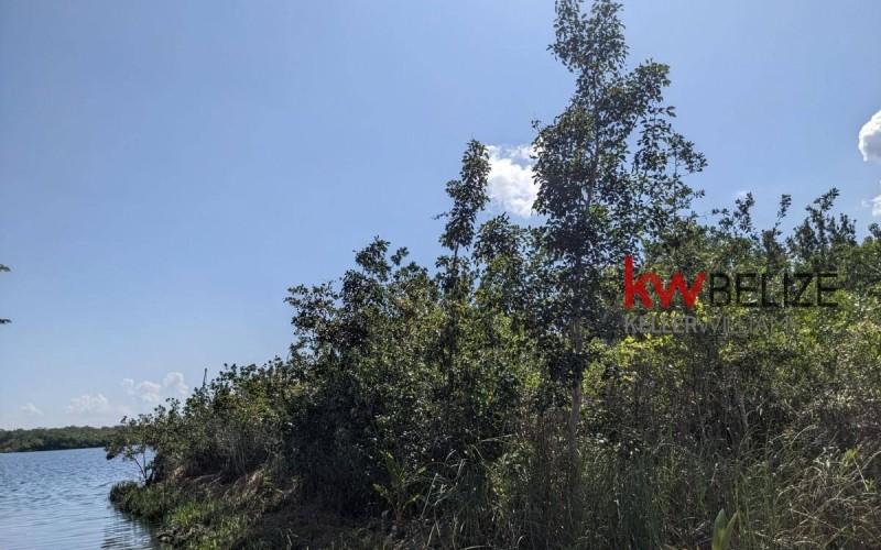listing image with ID 9812