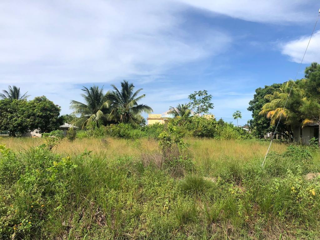 listing image with ID 28336