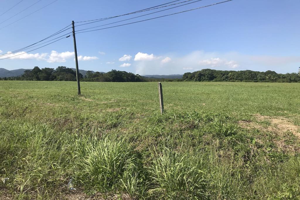 listing image with ID 33349