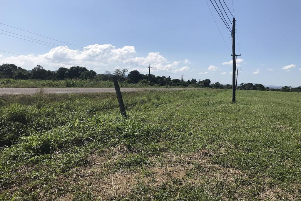 listing image with ID 33358