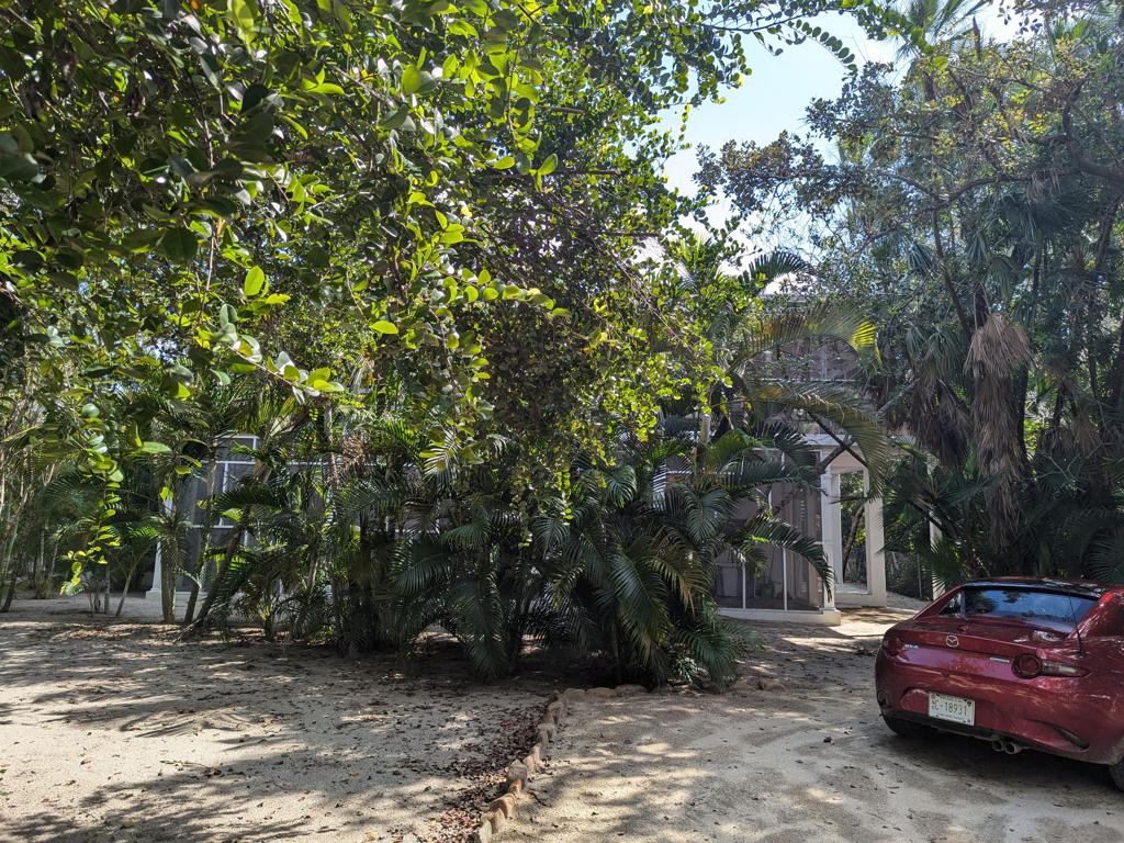 listing image with ID 33433